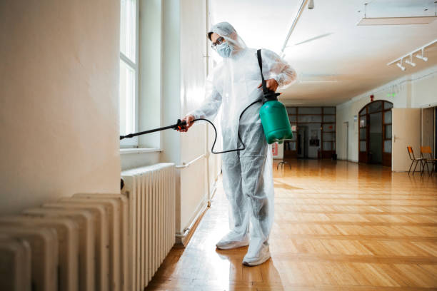 Best Residential Pest Control  in Seymour, TX